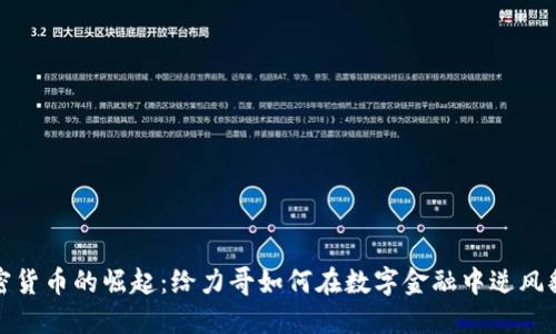 加密货币的崛起：给力哥如何在数字金融中逆风翻盘