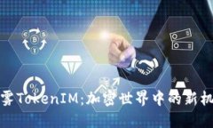 探索以太雾TokenIM：加密世界中的新机遇与挑战