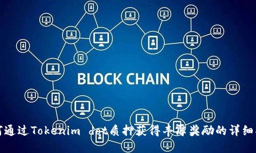 如何通过Tokenim dot质押获得丰厚奖励的详细指南