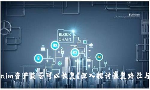 Tokenim资产是否可以恢复？深入探讨恢复路径与策略