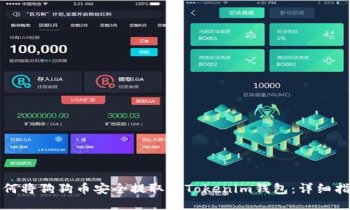 如何将狗狗币安全提取到Tokenim钱包：详细指南