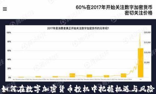 
如何在数字加密货币投机中把握机遇与风险