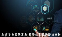 加密货币里的黑马：那些被忽视的潜力币种