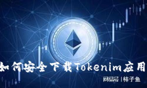 国内用户如何安全下载Tokenim应用：详细指南