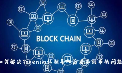 如何解决Tokenim私钥导入后看不到币的问题？