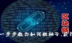 Tokenim：一步步教你如何提柚子，获得最高收益