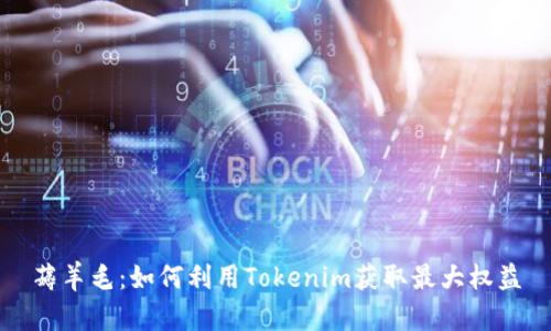 薅羊毛：如何利用Tokenim获取最大权益