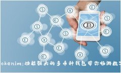 深入解读Tokenim：功能强大的多币种钱包带你畅游
