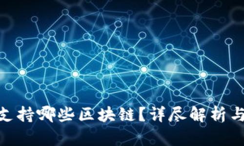 Tokenim支持哪些区块链？详尽解析与未来展望