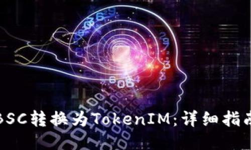 如何将BSC转换为TokenIM：详细指南与技巧