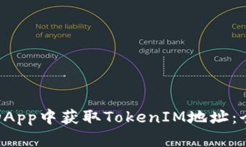 如何在DApp中获取TokenIM地址：全面指南