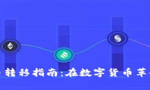 非洲加密货币转移指南：在数字货币革命中游刃有余