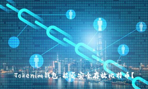 Tokenim钱包：能否安全存放比特币？