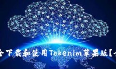 如何安全下载和使用Tokenim苹果版？全面指南