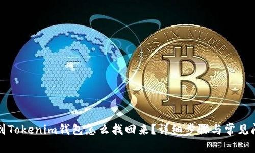 提币没到Tokenim钱包怎么找回来？详细步骤与常见问题解答