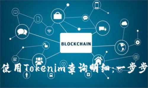如何使用Tokenim查询明细：一步步指南