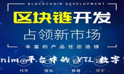 深入探讨 tokenim 平台中的 YTL：数字货币的未来之路
