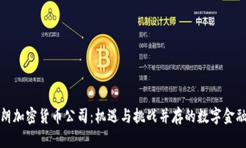 探索伊朗加密货币公司：机遇与挑战并存的数字金融新纪元