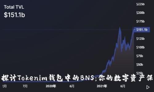 深入探讨Tokenim钱包中的BNS：你的数字资产保护伞