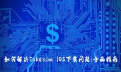 如何解决Tokenim iOS下载问题：全面指南