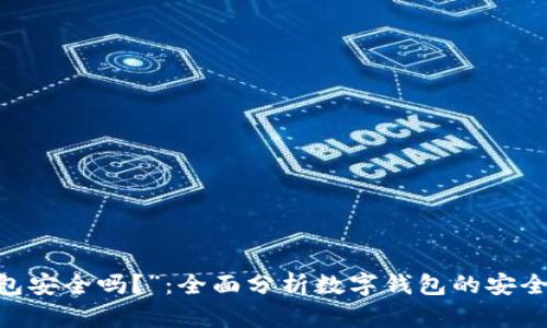 “IM Tokey钱包安全吗？”：全面分析数字钱包的安全性与保护措施