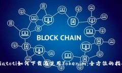 biatoti如何下载及使用Tokenim：全方位的指南