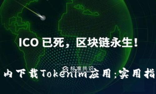 如何在国内下载Tokenim应用：实用指南与技巧