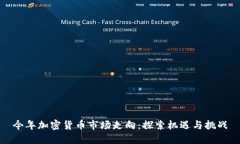 今年加密货币市场走向：探索机遇与挑战