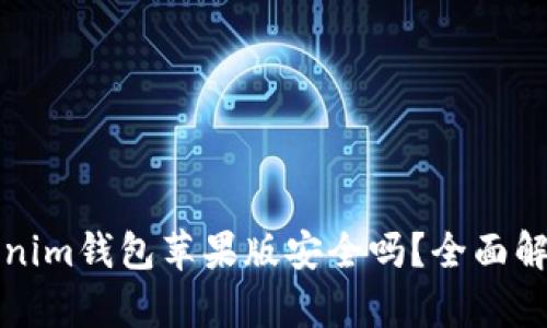 官网下载Tokenim钱包苹果版安全吗？全面解析与使用建议