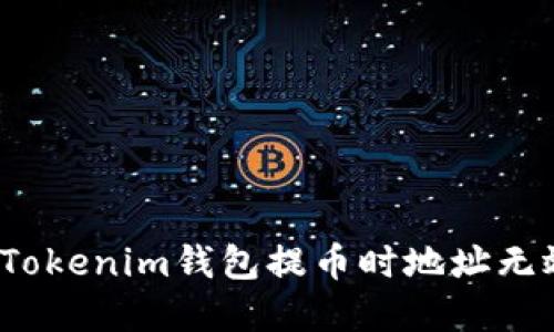 如何解决Tokenim钱包提币时地址无效的问题？