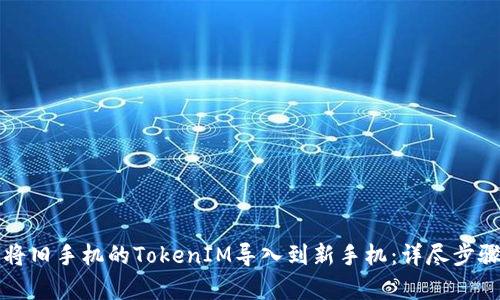 如何将旧手机的TokenIM导入到新手机：详尽步骤解析