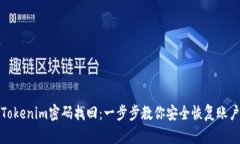 Tokenim密码找回：一步步教你安全恢复账户