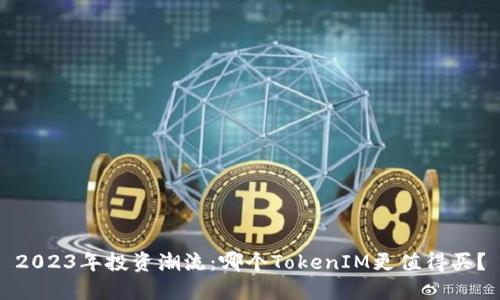 2023年投资潮流：哪个TokenIM更值得买？