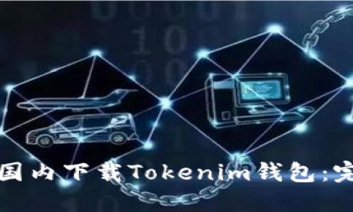 如何在国内下载Tokenim钱包：完整指南