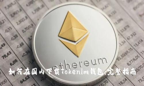 如何在国内下载Tokenim钱包：完整指南