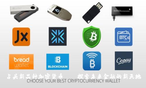 占头新品种加密货币——探索未来金融的新天地