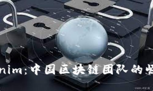 探秘Tokenim：中国区块链团队的崛起与未来