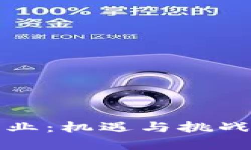 土耳其的加密货币行业：机遇与挑战并存的数字货币蓝海