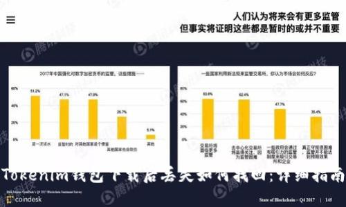 Tokenim钱包下载后丢失如何找回：详细指南
