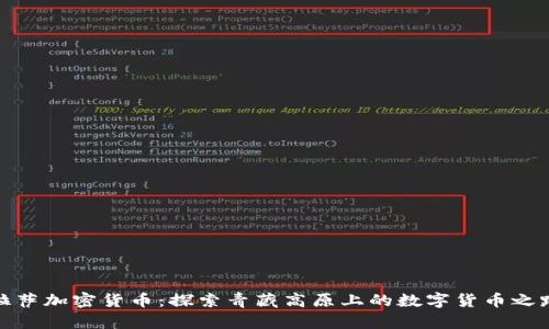 拉萨加密货币：探索青藏高原上的数字货币之路