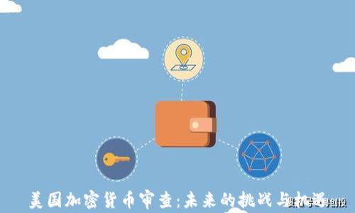
美国加密货币审查：未来的挑战与机遇