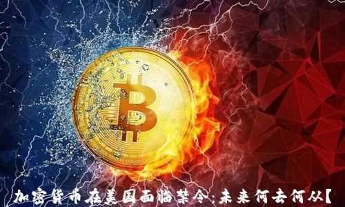 
加密货币在美国面临禁令：未来何去何从？