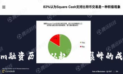Tokenim融资历史：从起步到巅峰的成长之路
