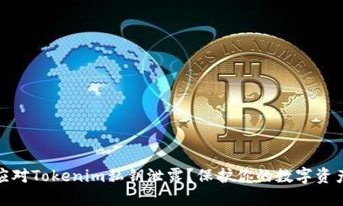 如何应对Tokenim私钥泄露？保护你的数字资产安全