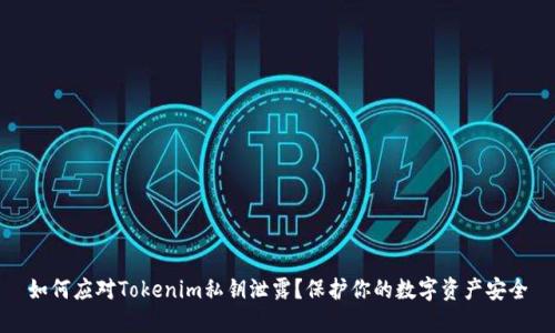 如何应对Tokenim私钥泄露？保护你的数字资产安全