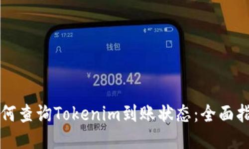 如何查询Tokenim到账状态：全面指南