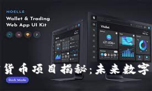 腾讯投资的加密货币项目揭秘：未来数字货币的探索之旅