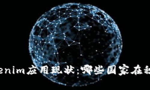 全球Tokenim应用现状：哪些国家在积极使用？