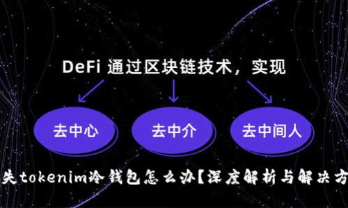 丢失tokenim冷钱包怎么办？深度解析与解决方案