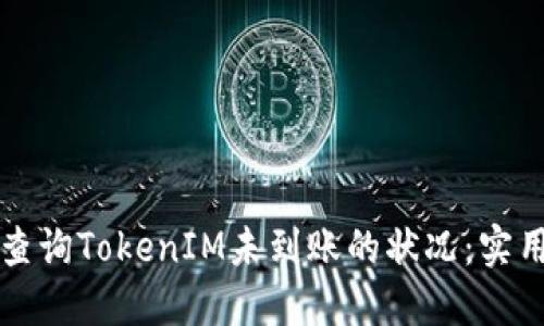 如何查询TokenIM未到账的状况：实用指南